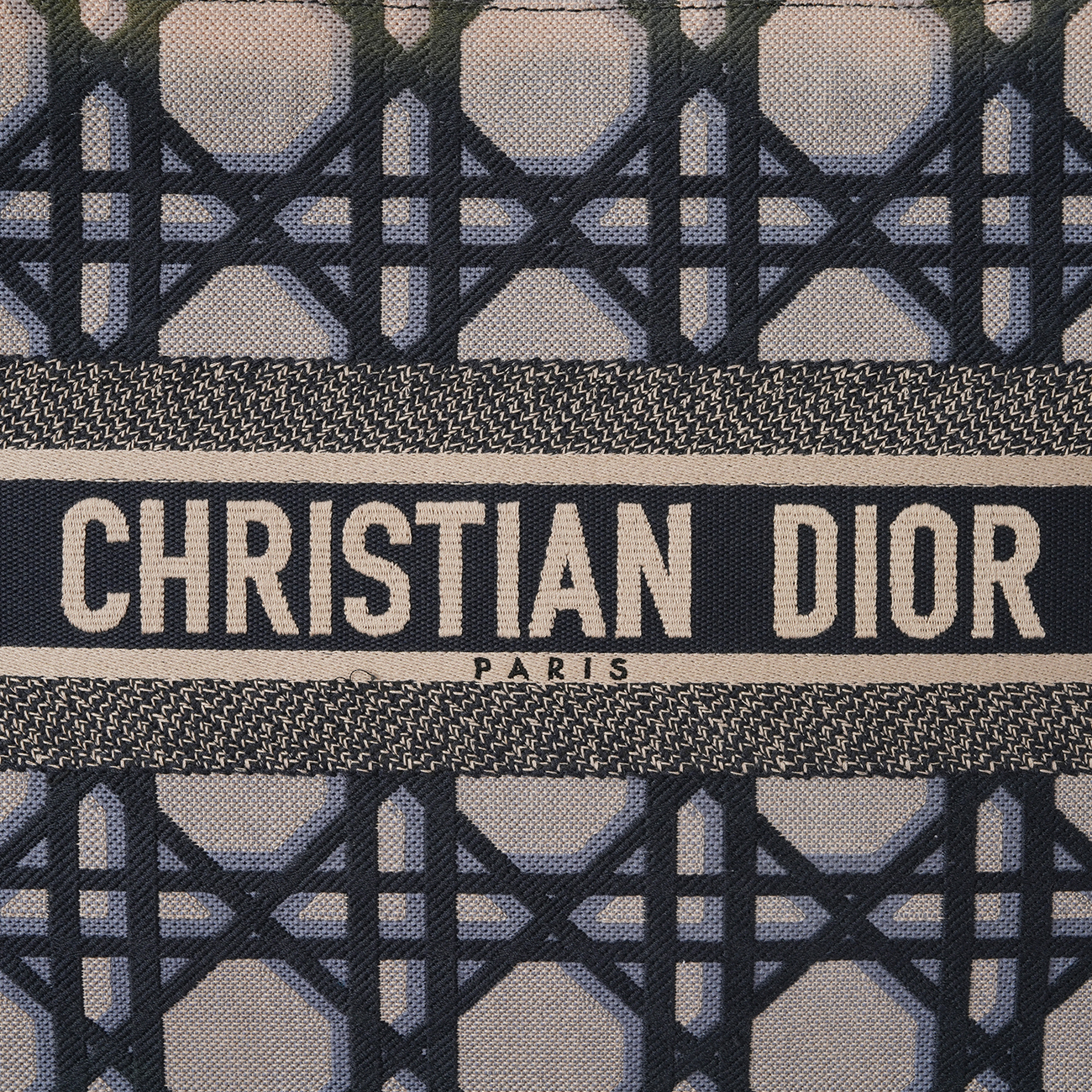 CHRISTIAN DIOR(USED)디올 시즌 북토트 미듐